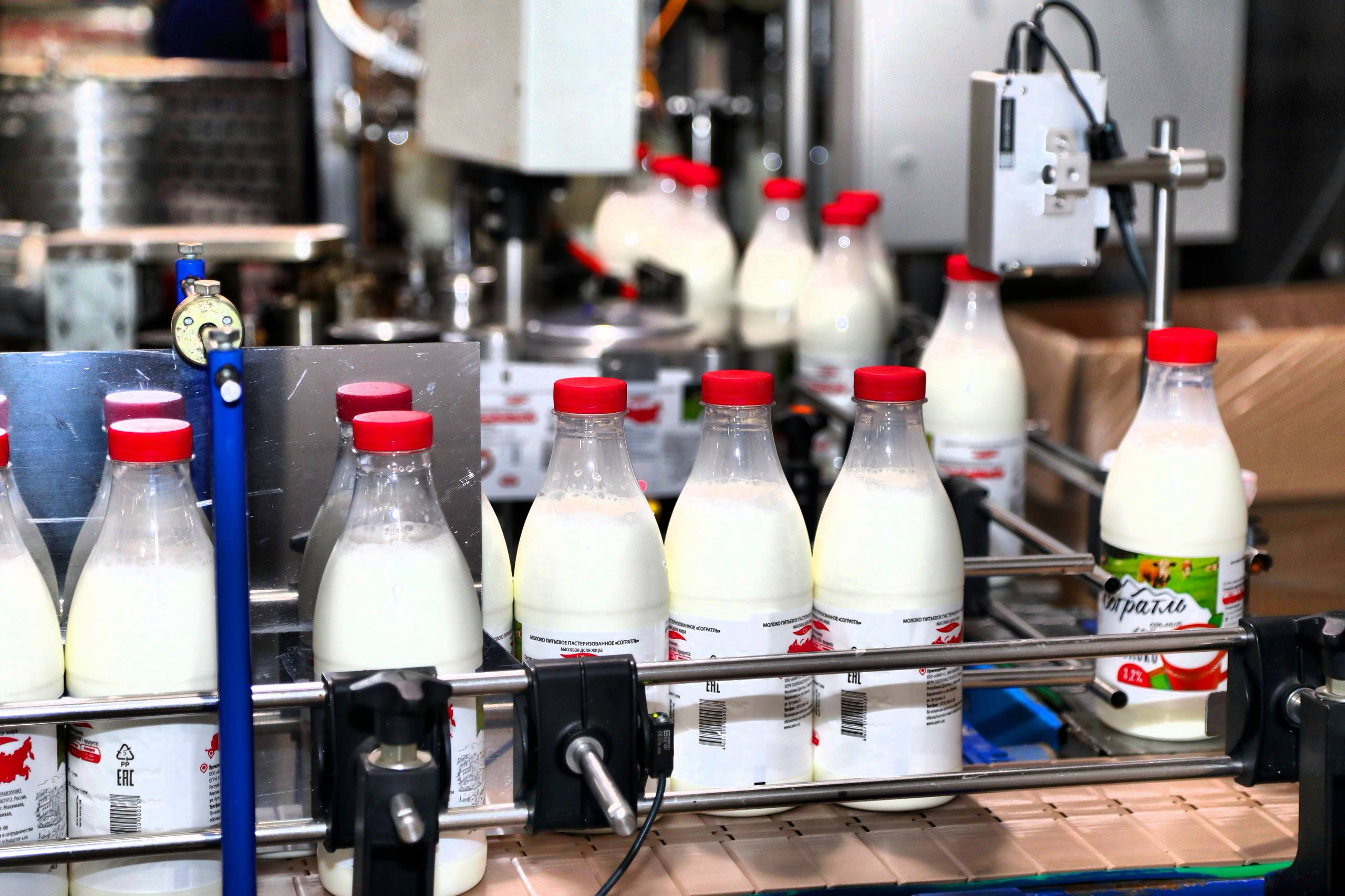 Более 20 инвестпроектов по переработке сельхозпродукции получили поддержку в 2024–2025 годах в Дагестане